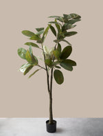Sztuczne drzewko Ficus Elastica